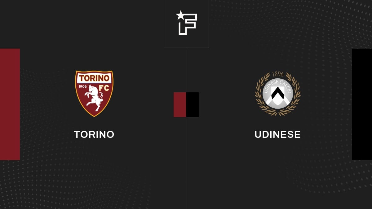 Vídeo, todos los goles del choque entre Torino y Udinese