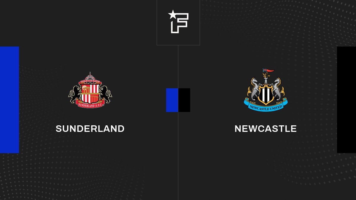 Vídeo, el único objetivo del partido entre Sunderland y Newcastle