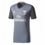 Camiseta SL Benfica exterior 2017/2018