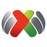 Logo Primera División