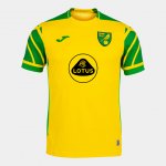 Camiseta Norwich City casa 2021/2022