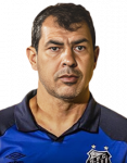 Fábio Luiz Carille de Araujo