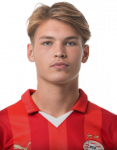 Joël van den Berg