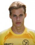 Joël van der Wilt