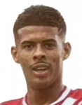 Leonardo Cavalheiro Gomes