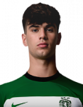 Rodrigo Ribeiro