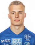 Erik Viktor Bergh
