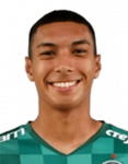 Vinícius Lima Serafim