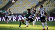 Copa Libertadores | Palmeiras noquea al Santos y se alza con el trofeo