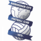 Logo Birmingham City