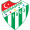 Logo Bursaspor