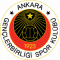 Logo Gençlerbirliği