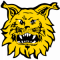 Logo Ilves