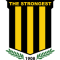 Logo The Strongest