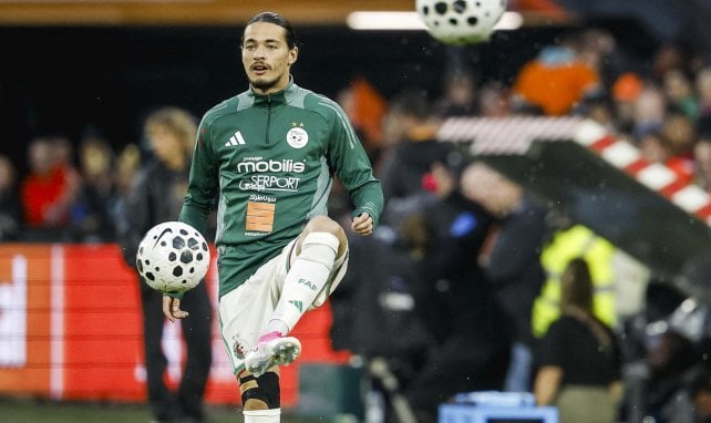 Oferta de 37,5 millones de euros por Anis Hadj Moussa