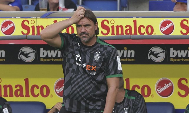 Daniel Farke, en el banquillo del Borussia Mönchengladbach