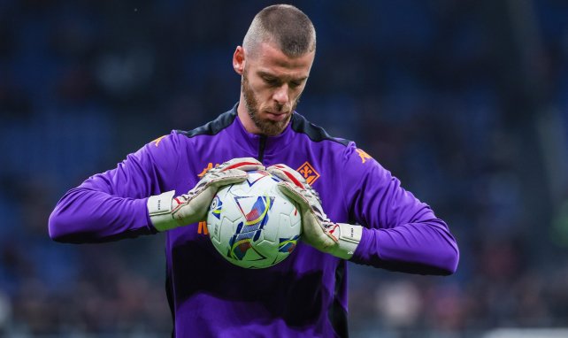 David de Gea calentando