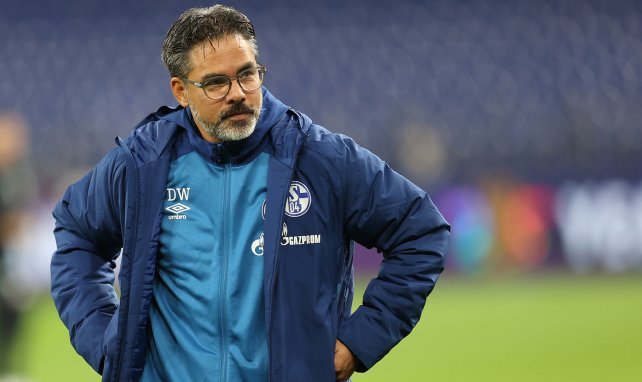 David Wagner no seguirá a los mandos del Schalke
