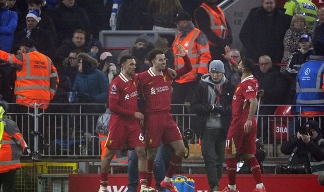 Los jugadores del Liverpool celebran un gol