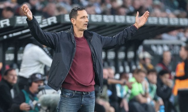 El Eintracht de Frankfurt destituye a Dino Toppmoller
