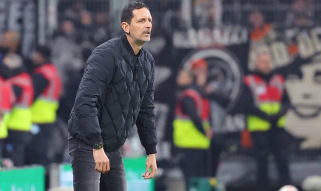Nuevo equipo para Dino Toppmöller