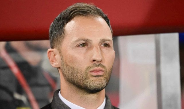 Domenico Tedesco con Bélgica