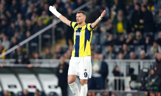 Edin Dzeko con el Fenerbahçe