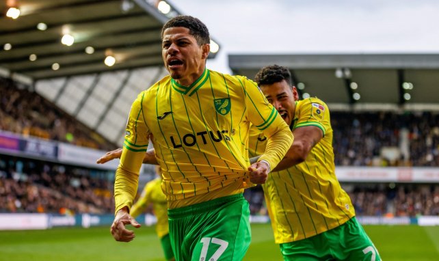 Gabriel Sara celebra un gol con el Norwich