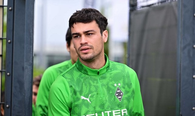 Giovanni Reyna en Alemania