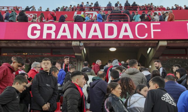 Estadio de Los Cármenes