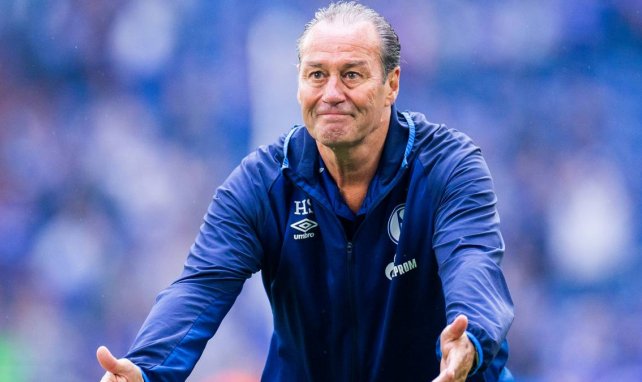 Huubs Stevens se acerca al Schalke 04