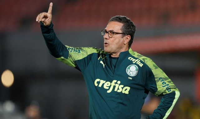 Vanderlei Luxemburgo entrenando al Palmeiras
