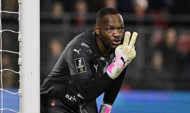 Steve Mandanda