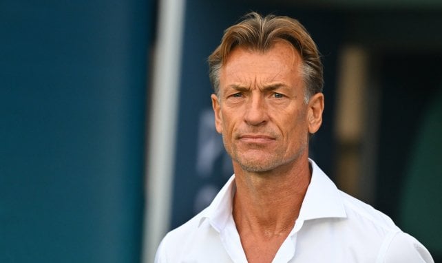 Túnez cambia de entrenador en pleno Mundial