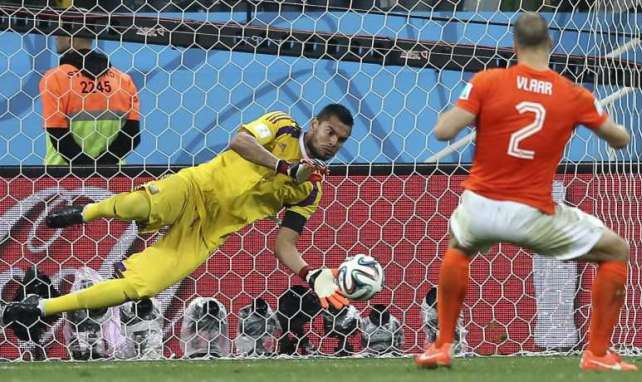 Ron Vlaar firmó un gran Mundial con la Selección de Holanda