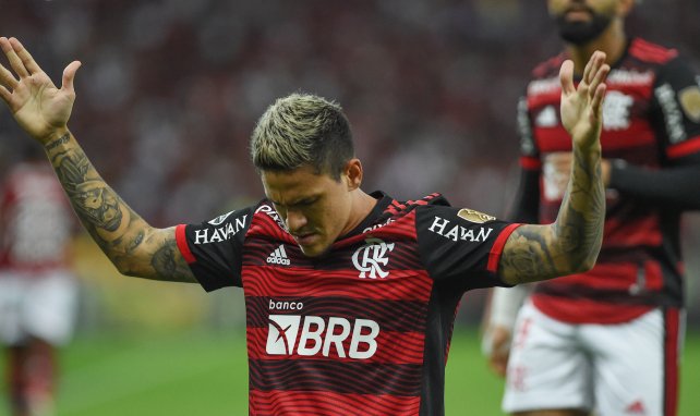 Pedro Guilherme Abreu dos Santos celebrando un gol con el Flamengo