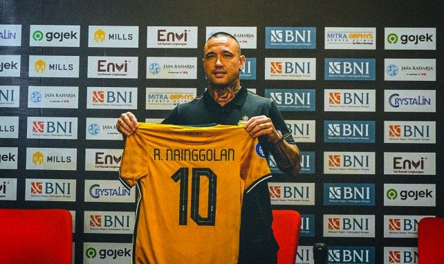 Radja Nainggolan