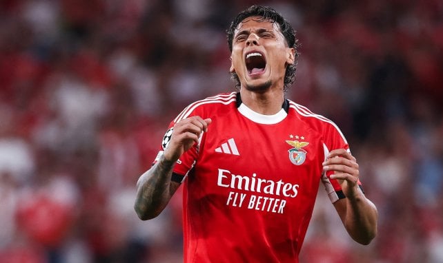 Dos piezas para rejuvenecer el centro del campo del Nápoles