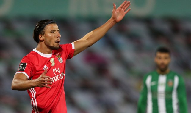 Rúben Dias ha demostrado su potencial en el Benfica