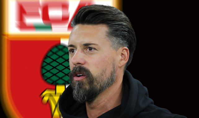 Sandro Wagner.
