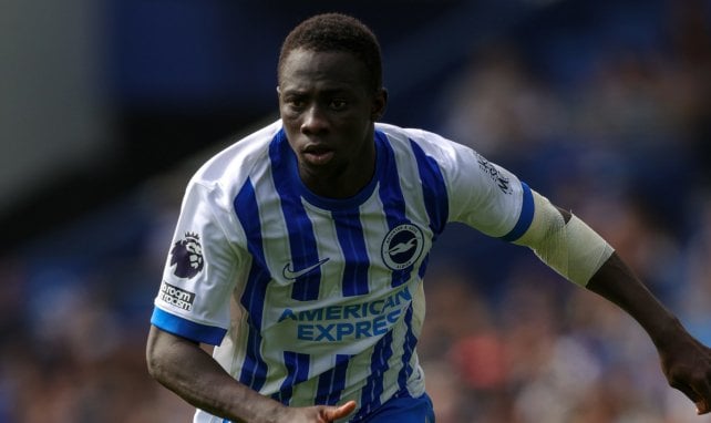 Yankuba Minteh con el Brighton